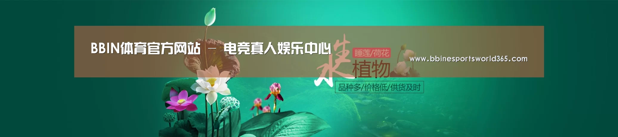 鲜花水草花卉网站模板