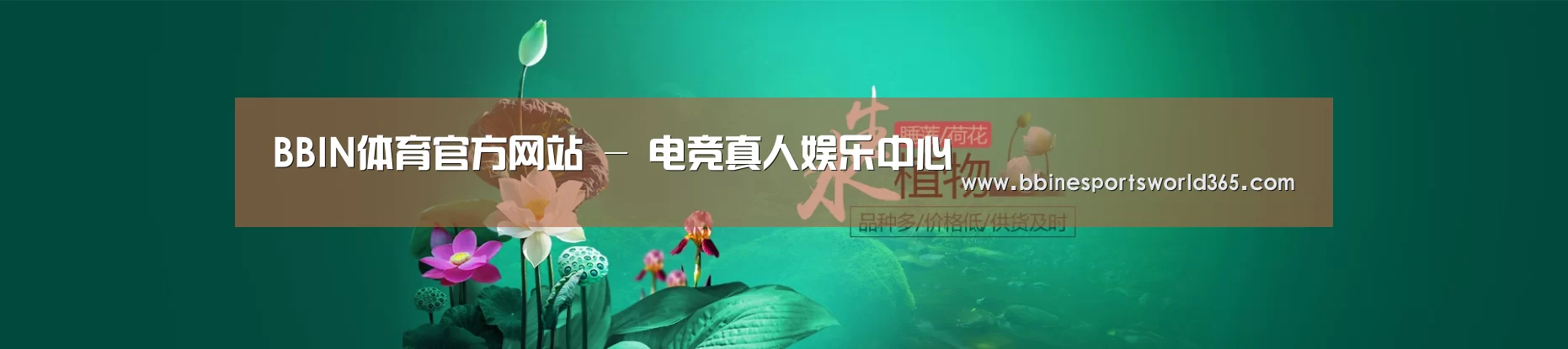 鲜花水草花卉网站模板