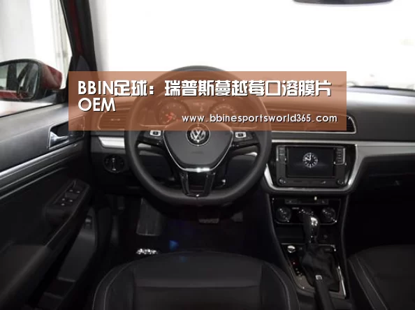 BBIN足球:瑞普斯蔓越莓口溶膜片OEM(图2) BBIN娱乐