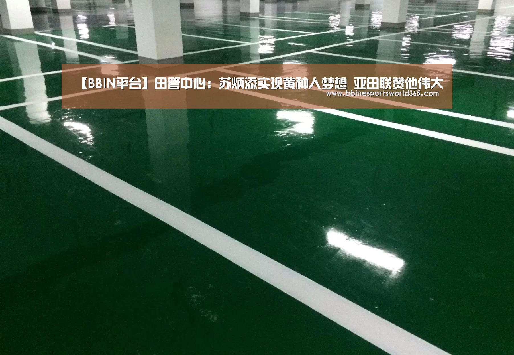 【BBIN平台】田管中心:苏炳添实现黄种人梦想 亚田联赞他伟大(图2) BBIN平台