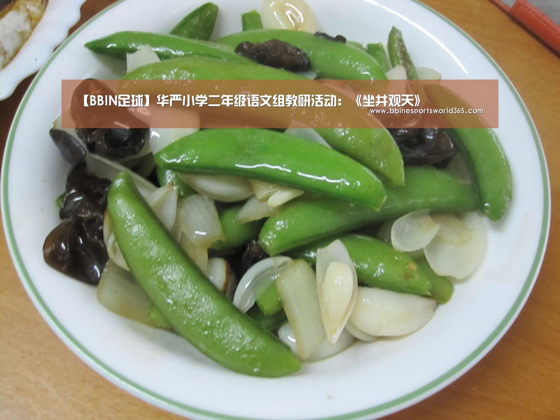 BBIN平台