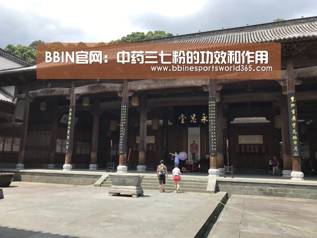 BBIN平台
