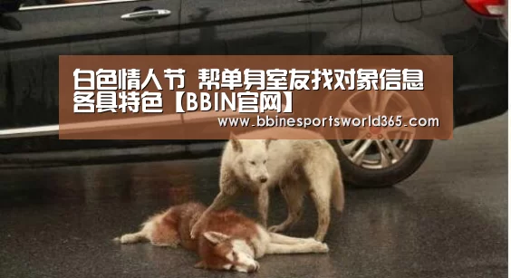 BBIN官网